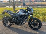 Suzuki SV 650 XA  (bj 2020), Bedrijf, Naked bike