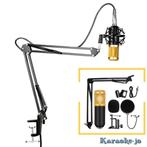 Studio Condensator Microfoon set compleet, Arm, Kabel Etc., Nieuw, Studiomicrofoon, Ophalen of Verzenden