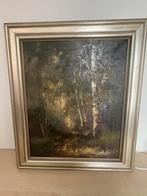Mooi schilderij, Antiek en Kunst, Ophalen of Verzenden