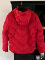 Superdry Winterjas heren Maat XL - Mooie rode jas!, Superdry, Ophalen, Gedragen, Rood