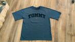 NIEUW: Tommy hilfiger t-shirt, Ophalen of Verzenden, Nieuw