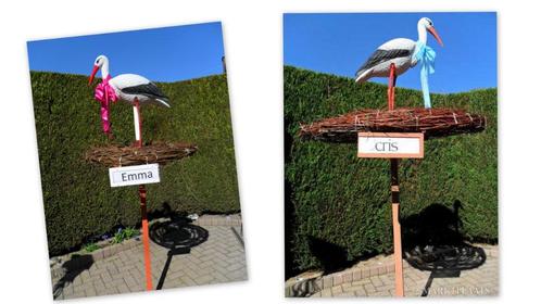 Geboortebaby “Levensechte” origineel geboorte 3D ooievaar., Kinderen en Baby's, Kraamcadeaus en Geboorteborden, Nieuw, Ophalen