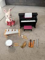Sylvanian Families Muziekschool Set, Ophalen, Zo goed als nieuw, Jongen of Meisje