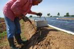 Toebehoren Asperge teelt, Zakelijke goederen, Ophalen, Overige typen