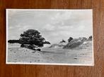 Nationale Park De Hoge Veluwe. Hoenderloo. Zandverstuivingen, Ophalen of Verzenden, 1940 tot 1960, Ongelopen, Gelderland