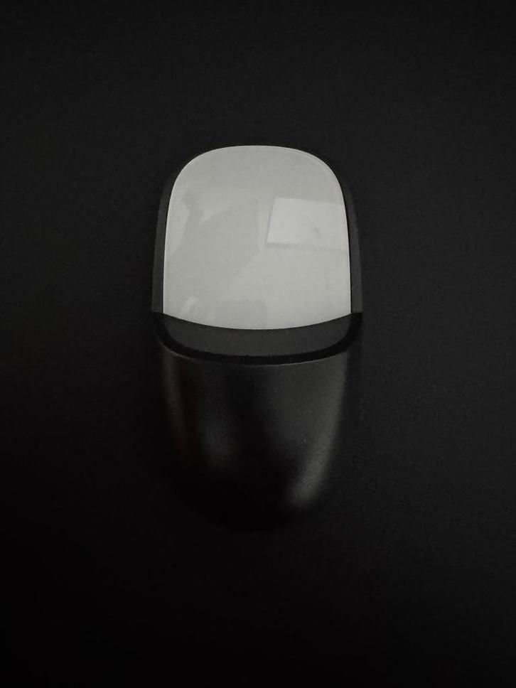 Apple Magic Keyboard + Magic Mouse + ergonomische muissteun, Computers en Software, Toetsenborden, Zo goed als nieuw, Qwerty, Draadloos