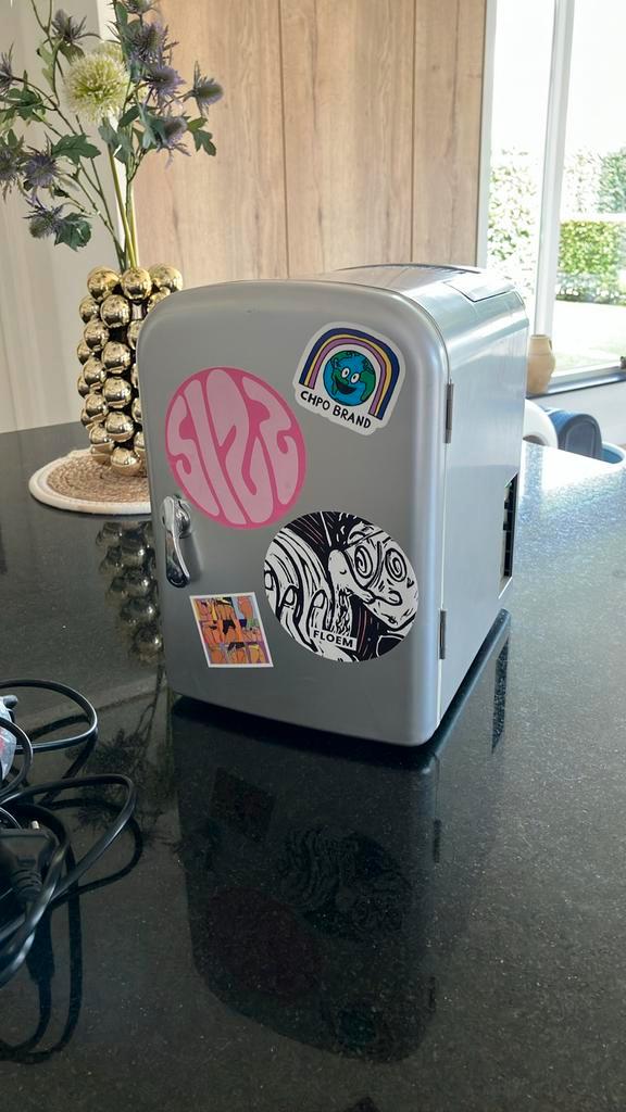 Mini koelkast, Caravans en Kamperen, Koelboxen, Zo goed als nieuw, Elektrisch, Ophalen