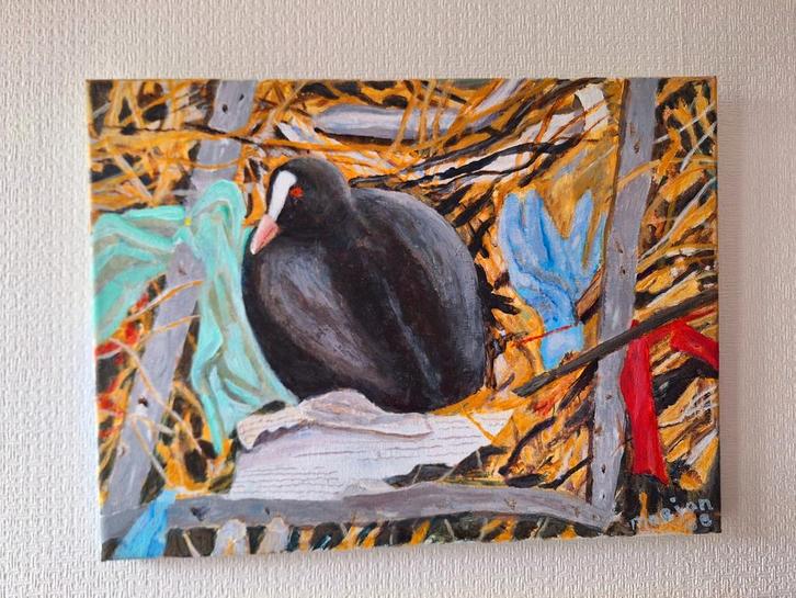 Meerkoet Schilderij - Acryl, Handgemaakt, Antiek en Kunst, Kunst | Schilderijen | Modern, Ophalen of Verzenden