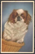 Hondje in mand, Verzenden, 1960 tot 1980, Ongelopen, Hond of Kat