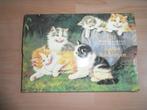 box met 20 wenskaarten waaop kattenschilderijen, eetbak kat, Diversen, Nieuw, Ophalen of Verzenden