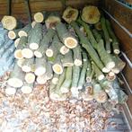 Haardhout, Minder dan 3 m³, Ophalen