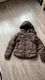 Paardrij jas, Ophalen of Verzenden, Zo goed als nieuw, Dressuur, Bovenkleding