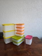 Tupperware diepvries dozen., Ophalen of Verzenden, Nieuw, Groen, Beker of Kan