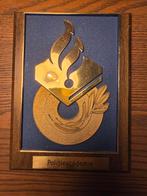 Politieacademie schildje, Ophalen of Verzenden