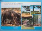 Ansichtkaart: Beekbergen, Groeten uit..., Verzamelen, Ansichtkaarten | Nederland, Ophalen of Verzenden, 1980 tot heden, Gelopen