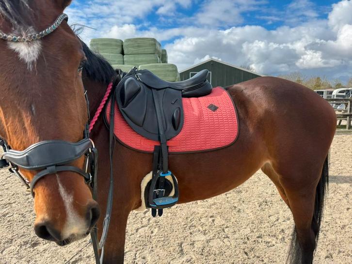 Kentucky dekje, Dieren en Toebehoren, Paarden en Pony's | Dekens en Dekjes, Zo goed als nieuw, Dekje, Ophalen of Verzenden