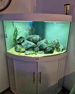 Aquarium hoek Juwel Trigon 190, Ophalen, Gebruikt, Leeg aquarium