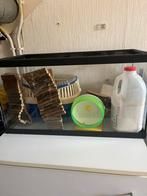 Hamster terrarium met spullen, Dieren en Toebehoren, Kooi, Zo goed als nieuw, Hamster, Ophalen