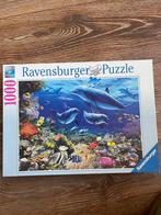 Ravensburger puzzel, 500 t/m 1500 stukjes, Legpuzzel, Zo goed als nieuw, Verzenden