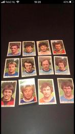 Vitesse panini Vanderhout 1979-1980, Verzamelen, Vitesse, Ophalen of Verzenden, Zo goed als nieuw