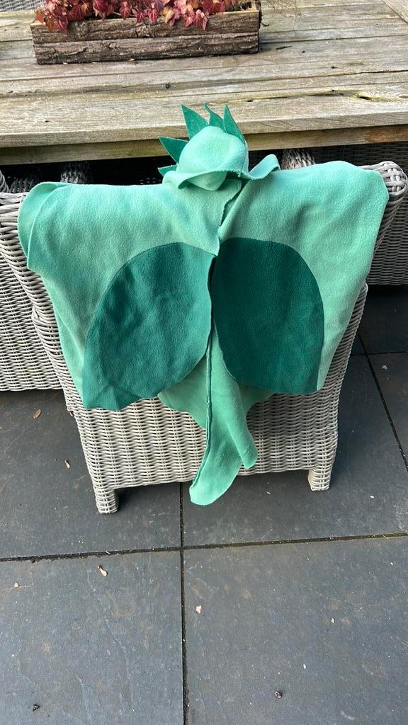 Groen drakenpak 4, 5, 6 of 7 jaar v Hema drakencape , draak, Kinderen en Baby's, Carnavalskleding en Verkleedspullen, Zo goed als nieuw