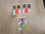 Panini Ajax 1995, Ophalen of Verzenden, Zo goed als nieuw, Ajax, Poster, Plaatje of Sticker