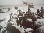 D-Day 50 years on - Engels herdenkingsboek uit 1994., Tweede Wereldoorlog, Ophalen of Verzenden, Zo goed als nieuw, Algemeen