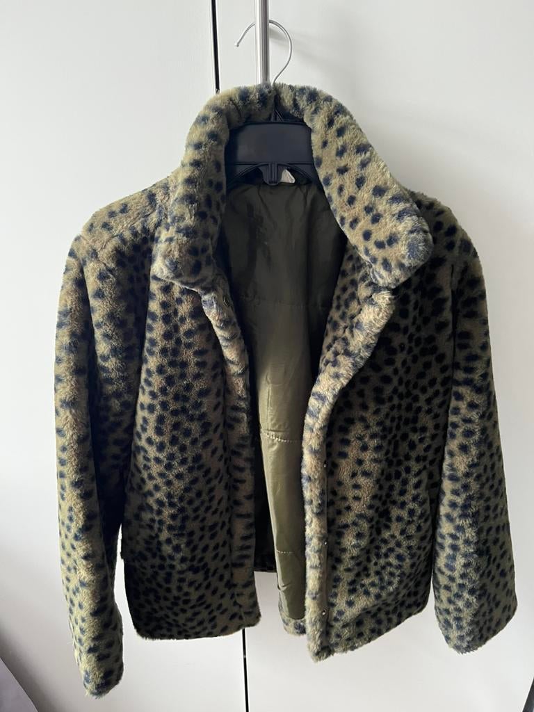 HEMA teddy jas – maat 146/152, Ophalen of Verzenden, Zo goed als nieuw, Meisje, Jas