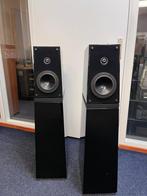 Verity Audio Leonore vloerstaande luidsprekers., Audio, Tv en Foto, Luidsprekers, Overige merken, Gebruikt, Ophalen of Verzenden