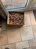 Nog 4 kilo walnoten, Diversen, Levensmiddelen, Ophalen