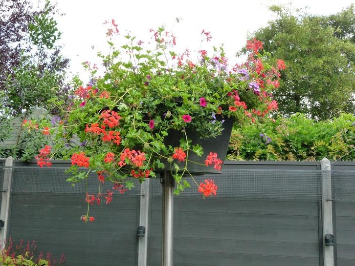 2 Grote Bloembakken op standaard, Tuin en Terras, Bloembakken en Plantenbakken, Zo goed als nieuw, Kunststof, Tuin, Minder dan 60 cm