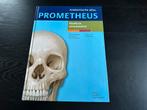 Prometheus - Udo Schumacher - Hoofd en zenuwstelsel, Ophalen of Verzenden, Natuurwetenschap, Udo Schumacher; E. Schulte; M. Schünke