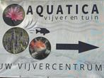 Vacature werknemer op een vijvercentrum in Limburg, Variabele uren, Starter, Overige vormen