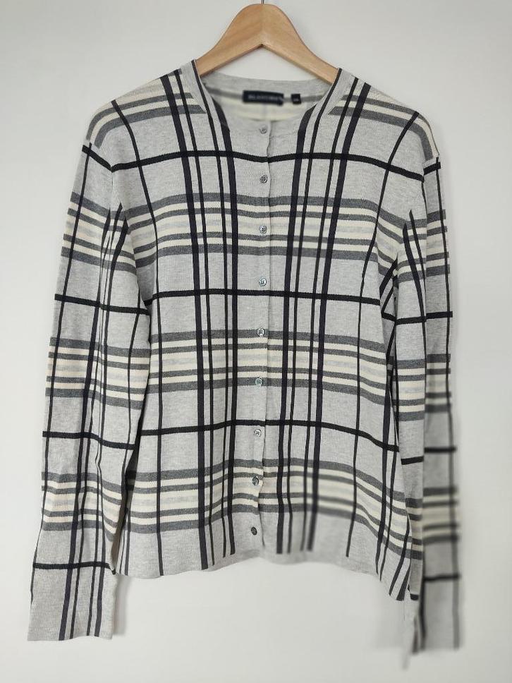 Grijs geruit vest Blanche XL, Kleding | Dames, Truien en Vesten, Nieuw, Maat 46/48 (XL) of groter, Grijs, Ophalen of Verzenden