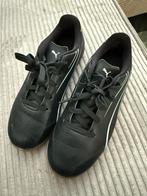 Gymschoenen / zaalvoetbalschoenen puma, Maat XS of kleiner, Ophalen, Zo goed als nieuw, Schoenen