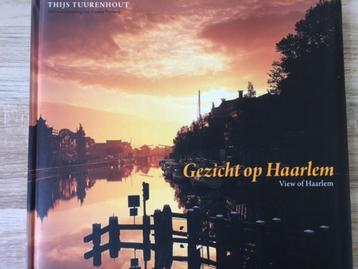 Gezicht op Haarlem / View of Haarlem - Thijs Tuurenhout beschikbaar voor biedingen