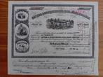 Aandeel Cayuga & Susquehanna Rail Road Company - 1946, Ophalen of Verzenden, 1920 tot 1950, Aandeel