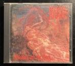 Morbid Angel – Blessed Are The Sick (Rock, death metal), Ophalen of Verzenden, Gebruikt