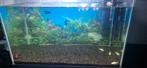 aquarium te koop 65 liter, Dieren en Toebehoren, Ophalen