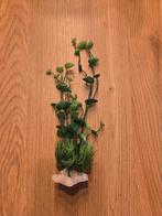 Plantje nep, Dieren en Toebehoren, Vissen | Aquaria en Toebehoren, Ophalen, Zo goed als nieuw, Plant(en), Steen of Hout