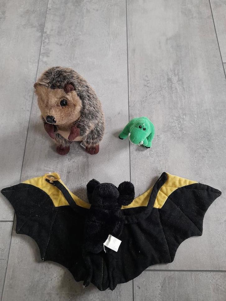 3 verschillende soorten knuffels; egel, vleermuis, dino, Dieren en Toebehoren, Hondenkleding, Ophalen of Verzenden