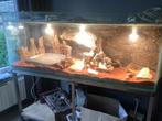 Erg groot mooi terrarium nooit gebruikt compleet, Ophalen, Zo goed als nieuw, Terrarium of Paludarium