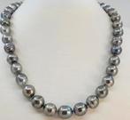 Tahiti Parelketting - Grijs, 8.2-11mm, Nieuw, Ophalen of Verzenden, Zilver, Grijs