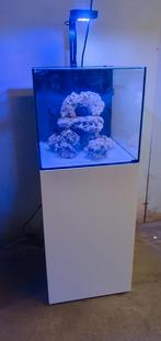 Aquarent/ zeeaquarium/ zoutwater aquarium/ aquarium, Dieren en Toebehoren, Ophalen, Gebruikt, Leeg aquarium