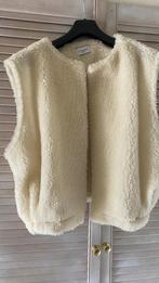 Teddy vestje van L’esstiel  Paris one zise, Ophalen, Zo goed als nieuw, Maat 46/48 (XL) of groter, Overige kleuren