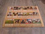 Houten aap noot mies puzzel, Ophalen, 10 tot 50 stukjes, Zo goed als nieuw, Van hout