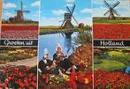 Groeten uit Holland - molens en tulpen - nieuw, Verzamelen, Ansichtkaarten | Nederland, Zuid-Holland, 1960 tot 1980, Ongelopen