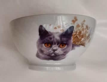 Limoge, Claude Carpenet, Porseleinen kom(kat) beschikbaar voor biedingen