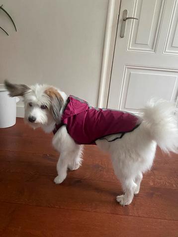 Honden reflecterende regenjas met capuchon 