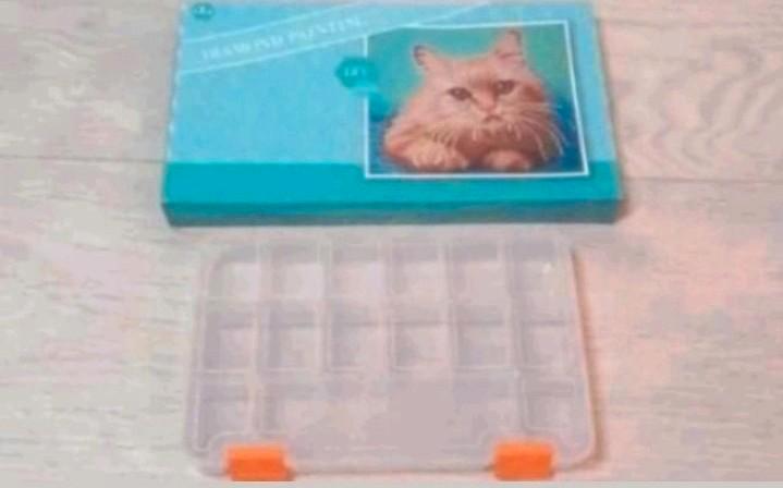 NIEUW DAIMOND PAINTING 25X27CM + SORTEERDOOS SAMEN VOOR €3,-, Hobby en Vrije tijd, Knutselen, Nieuw, Overige typen, Ophalen of Verzenden